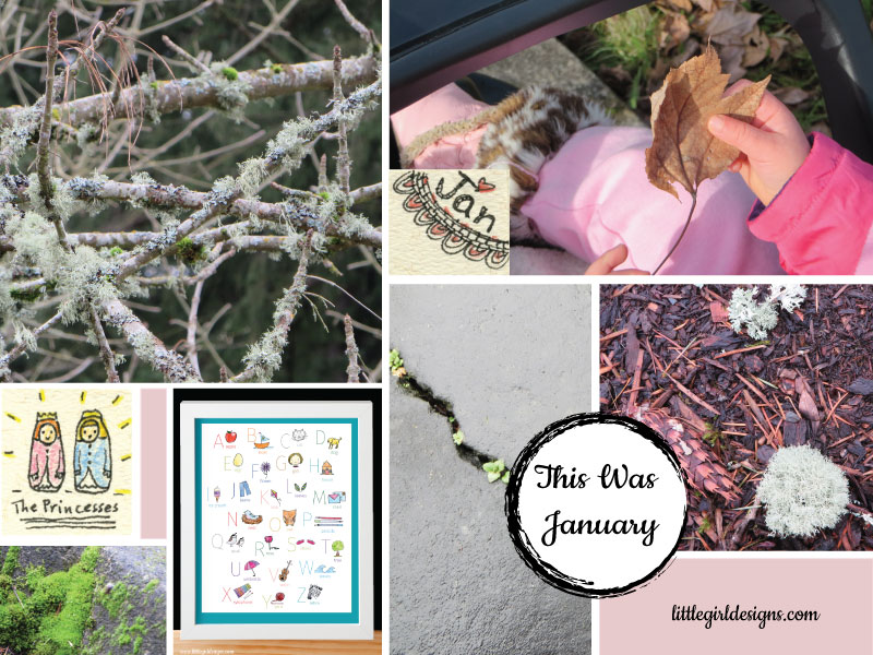 This Was January - my monthly look-back post. Would you like to join me? @littlegirldesigns.com