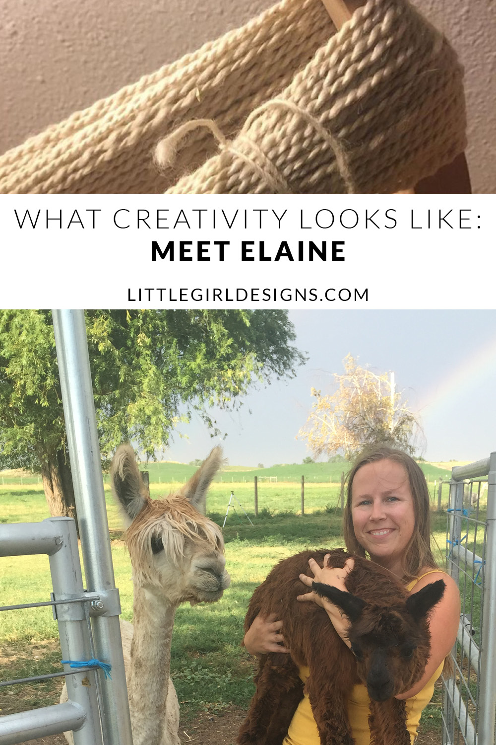 What Creativity Looks Like: Meet Elaine, Owner of Old Homestead Alpacas. She's taking us behind-the-scenes of what it looks like to run an alpaca farm. What an amazing person!